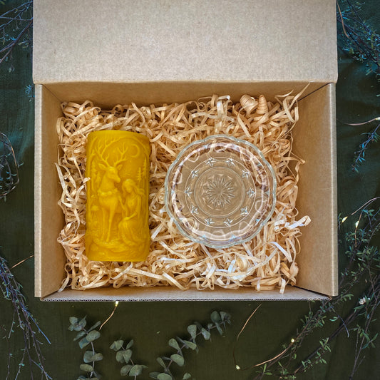 Candle thrift box ‘Forest Magic’
