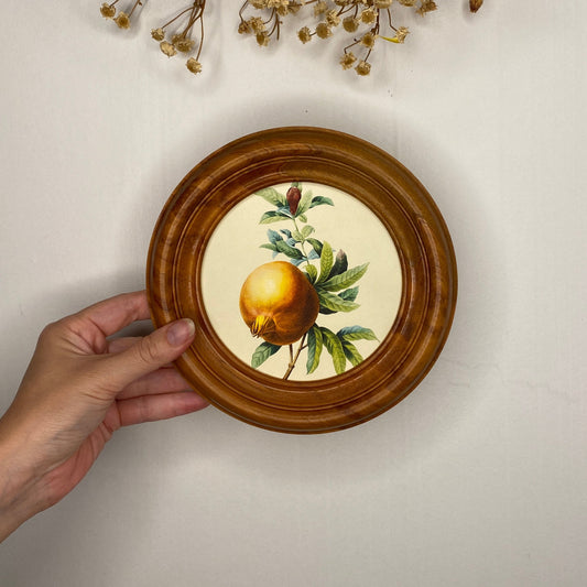 Rimu framed Pomegranate print