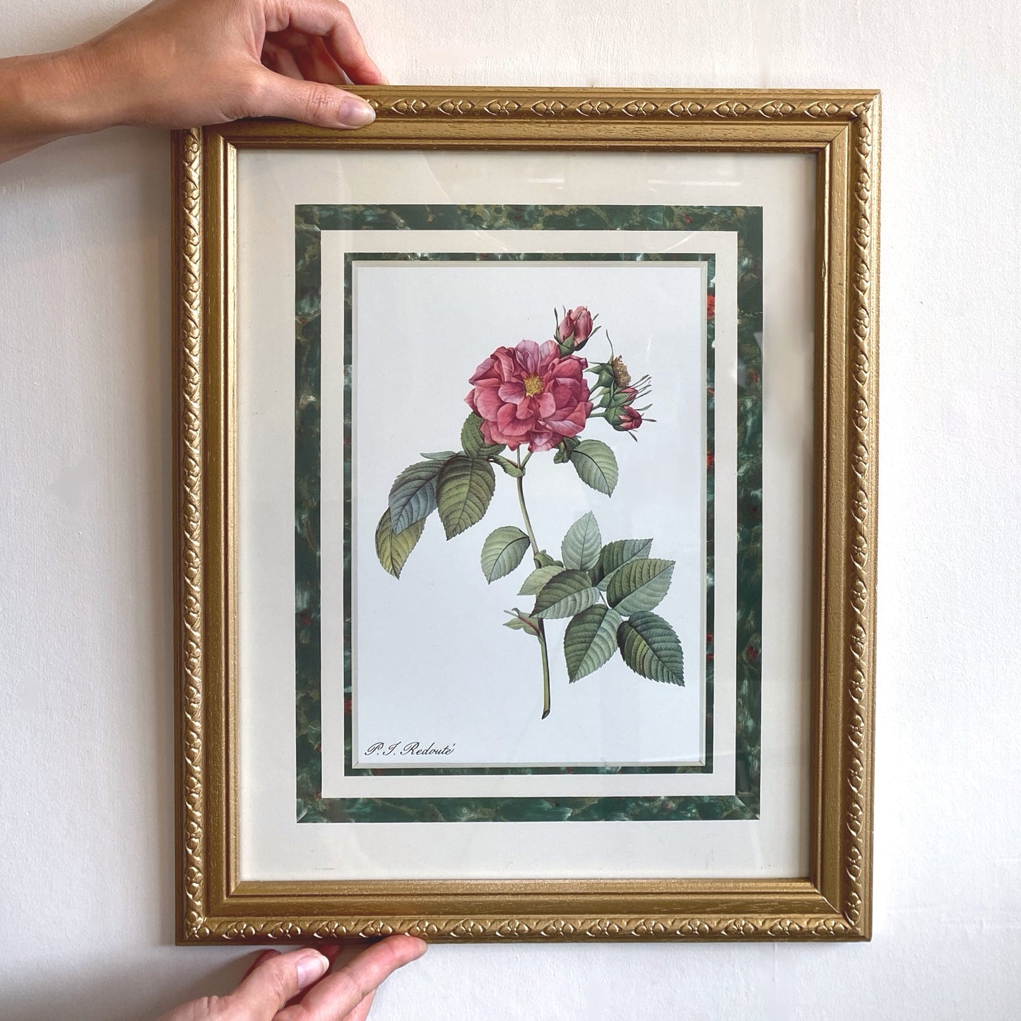 Framed Botanical print